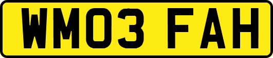 WM03FAH