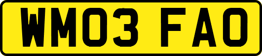 WM03FAO