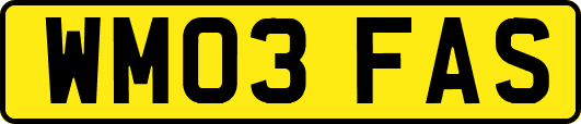 WM03FAS