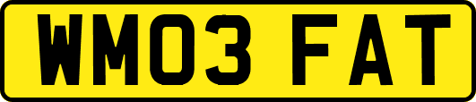 WM03FAT