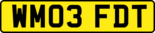 WM03FDT