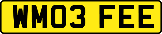WM03FEE