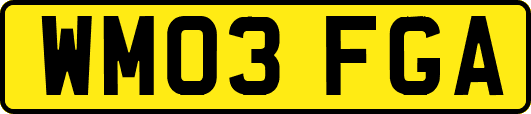 WM03FGA