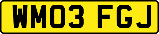 WM03FGJ