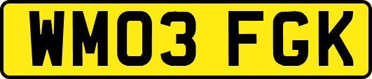 WM03FGK
