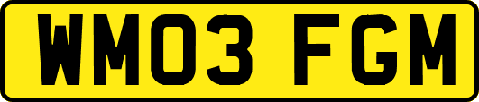 WM03FGM