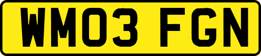 WM03FGN