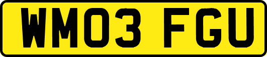 WM03FGU