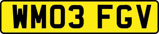 WM03FGV