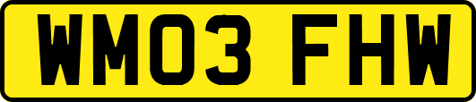 WM03FHW