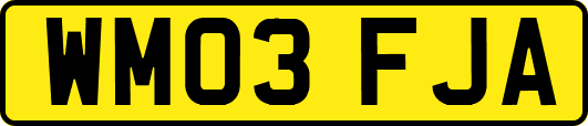 WM03FJA