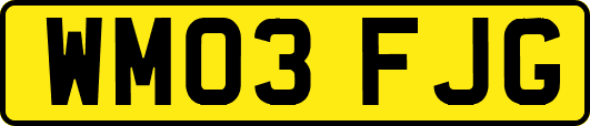 WM03FJG