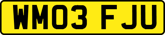 WM03FJU