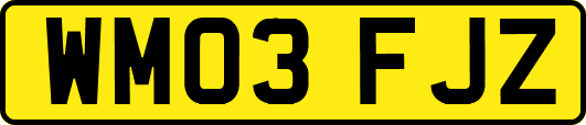 WM03FJZ