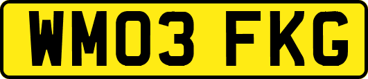 WM03FKG
