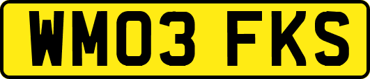 WM03FKS