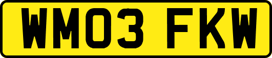 WM03FKW