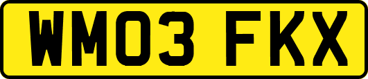 WM03FKX