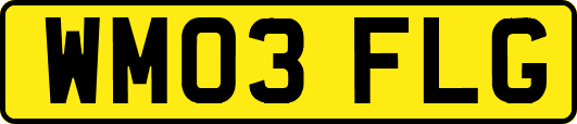 WM03FLG