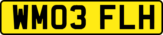WM03FLH