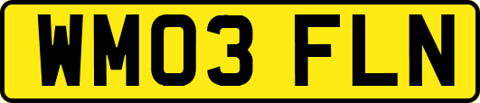 WM03FLN