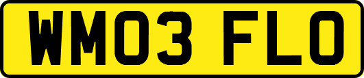WM03FLO