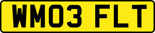 WM03FLT