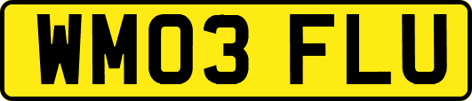 WM03FLU