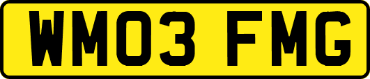 WM03FMG
