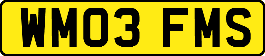 WM03FMS