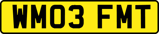 WM03FMT