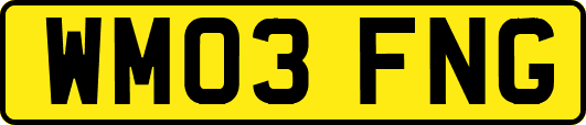 WM03FNG