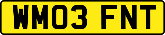 WM03FNT