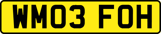 WM03FOH