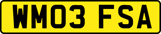 WM03FSA
