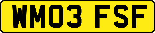 WM03FSF