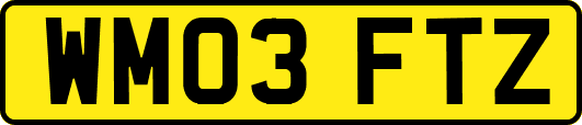 WM03FTZ