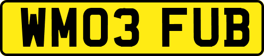 WM03FUB