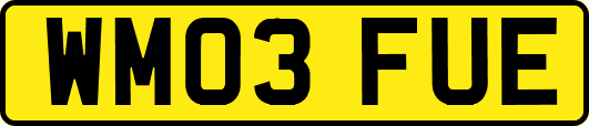 WM03FUE