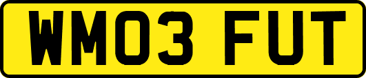 WM03FUT