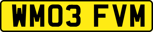 WM03FVM