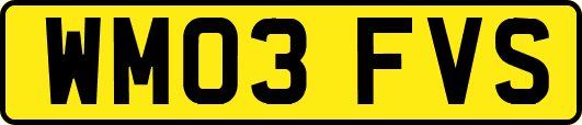 WM03FVS