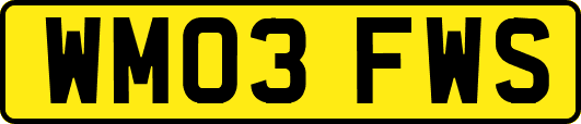 WM03FWS
