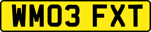 WM03FXT