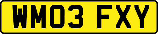 WM03FXY