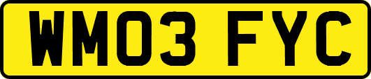 WM03FYC
