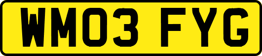 WM03FYG