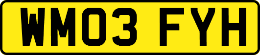 WM03FYH