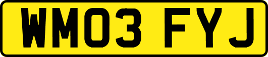 WM03FYJ