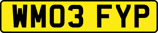 WM03FYP